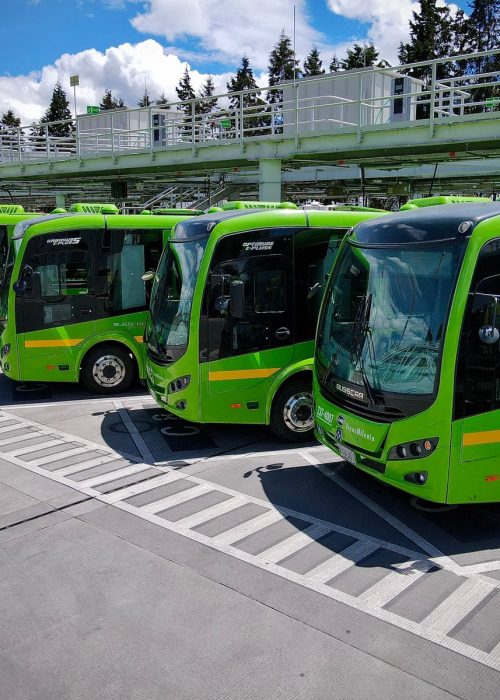 Fotografia de los buses de La Rolita parqueados